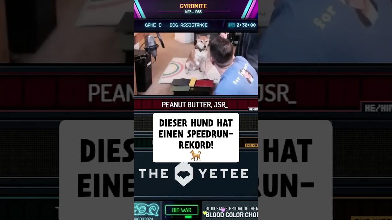 Dieser HUND hat ein Speedrun-Rekord!  #gaming