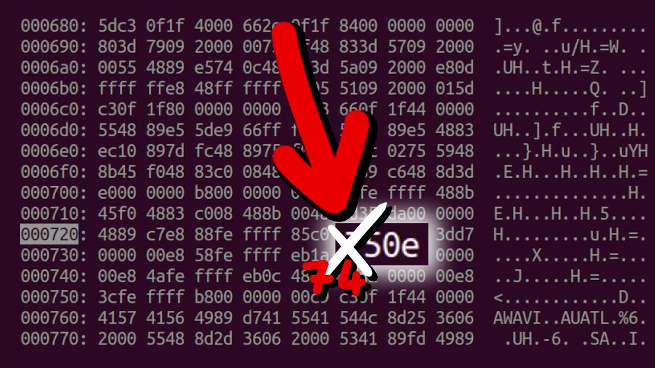 Patching Binaries (with vim, Binary Ninja, Ghidra and radare2) - bin 0x2F