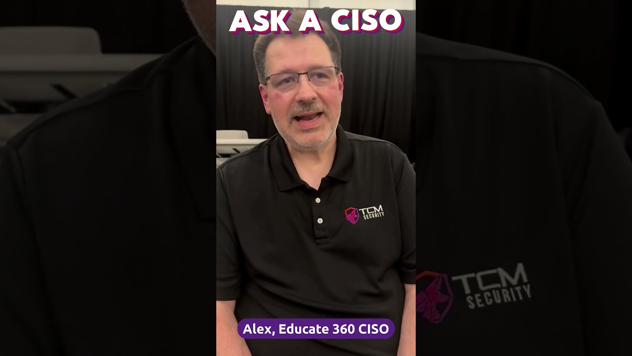 What Do Security Professionals Look for in Code?