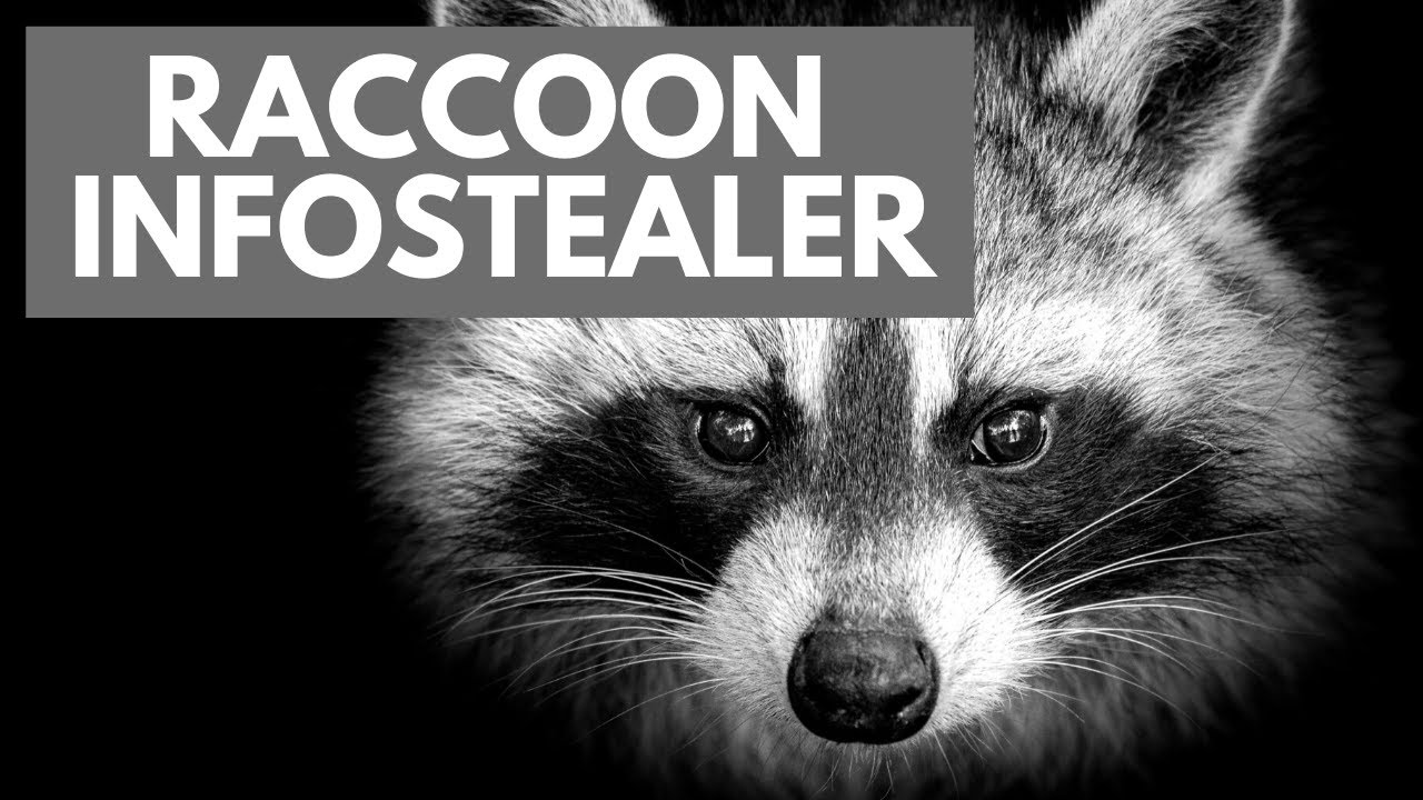 Raccoon Infostealer Malware